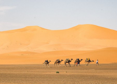 Best tours from Fes, Fes to Marrakech desert tours