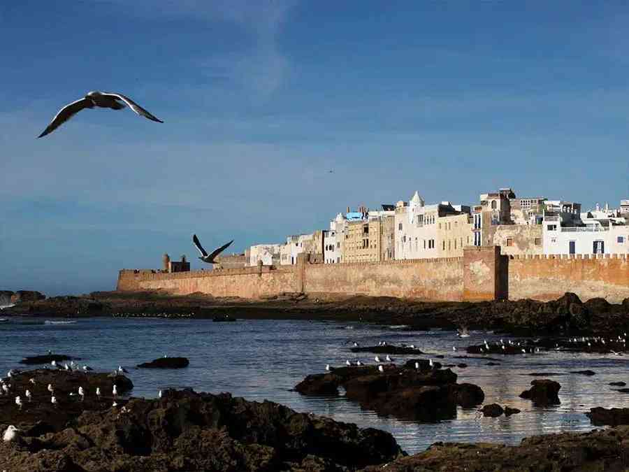 Excursión de 1 día a Essaouira